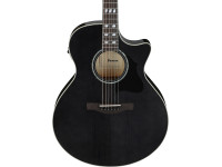 Ibanez AE170TBK Transparent Black Ibanez AE170TBK Transparent Black